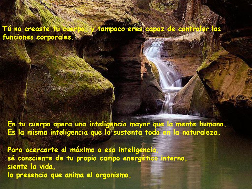 Tú no creaste tu cuerpo, y tampoco eres capaz de controlar las funciones corporales.