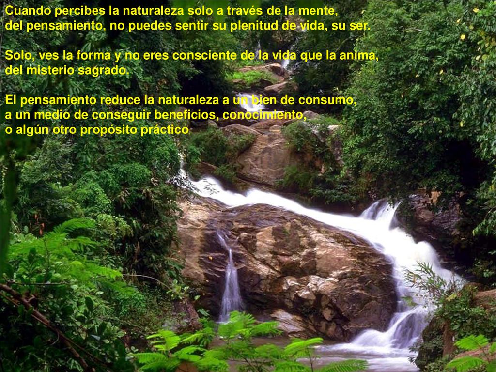Cuando percibes la naturaleza solo a través de la mente,
