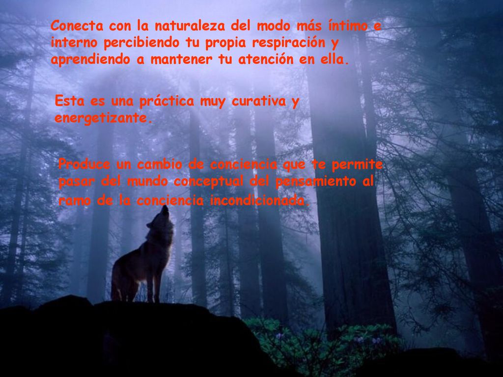 Conecta con la naturaleza del modo más íntimo e interno percibiendo tu propia respiración y aprendiendo a mantener tu atención en ella.