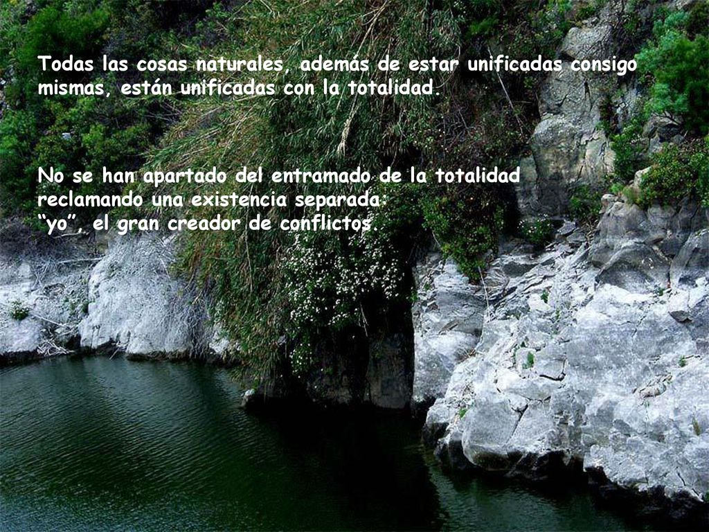 Todas las cosas naturales, además de estar unificadas consigo mismas, están unificadas con la totalidad.