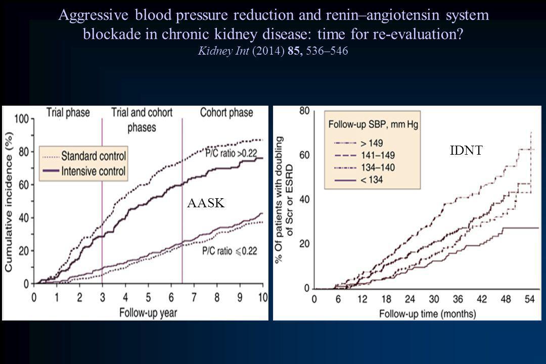 Aggressive blood pressure reduction and renin–angiotensin system blockade in chronic kidney disease: time for re-evaluation Kidney Int (2014) 85, 536–546
