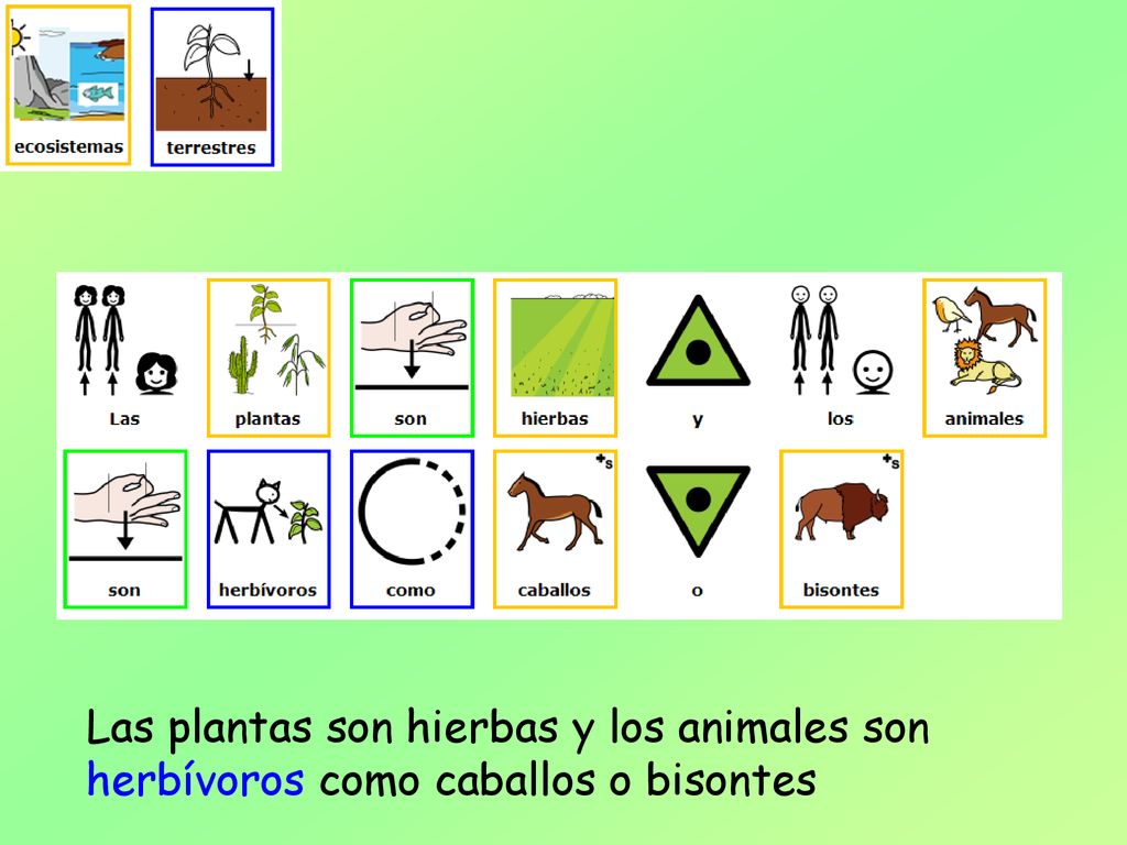 Las plantas son hierbas y los animales son herbívoros como caballos o bisontes