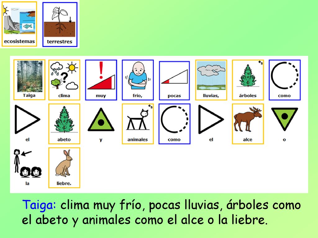 Taiga: clima muy frío, pocas lluvias, árboles como el abeto y animales como el alce o la liebre.