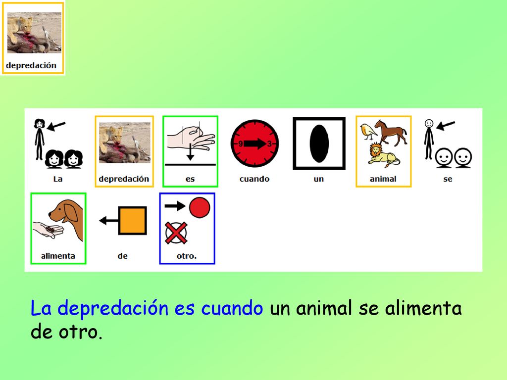 La depredación es cuando un animal se alimenta de otro.
