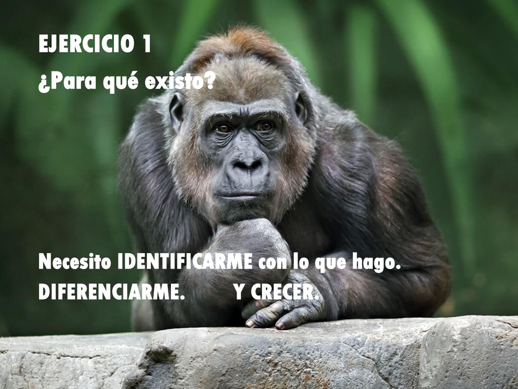 EJERCICIO 1 ¿Para qué existo Necesito IDENTIFICARME con lo que hago.
