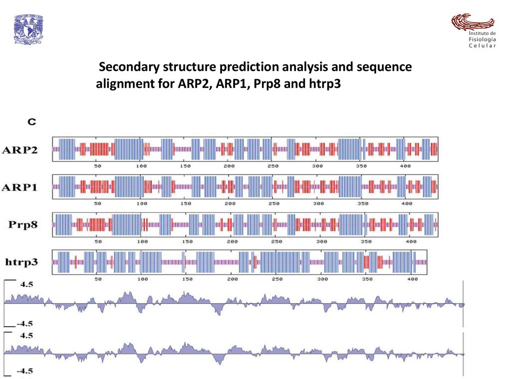 Secondary structure prediction analysis and sequence alignment for ARP2, ARP1, Prp8 and htrp3