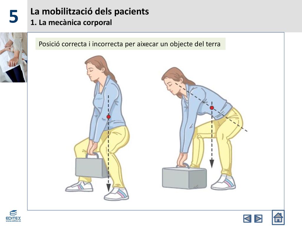 La mobilització dels pacients 1. La mecànica corporal