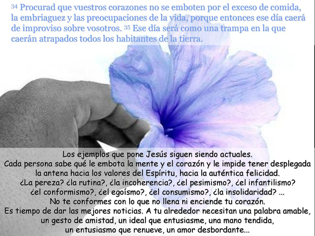 34 Procurad que vuestros corazones no se emboten por el exceso de comida, la embriaguez y las preocupaciones de la vida, porque entonces ese día caerá de improviso sobre vosotros. 35 Ese día será como una trampa en la que caerán atrapados todos los habitantes de la tierra.