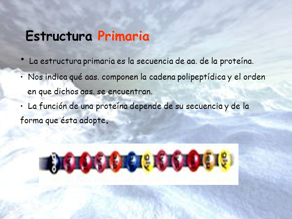 La estructura primaria es la secuencia de aa. de la proteína.