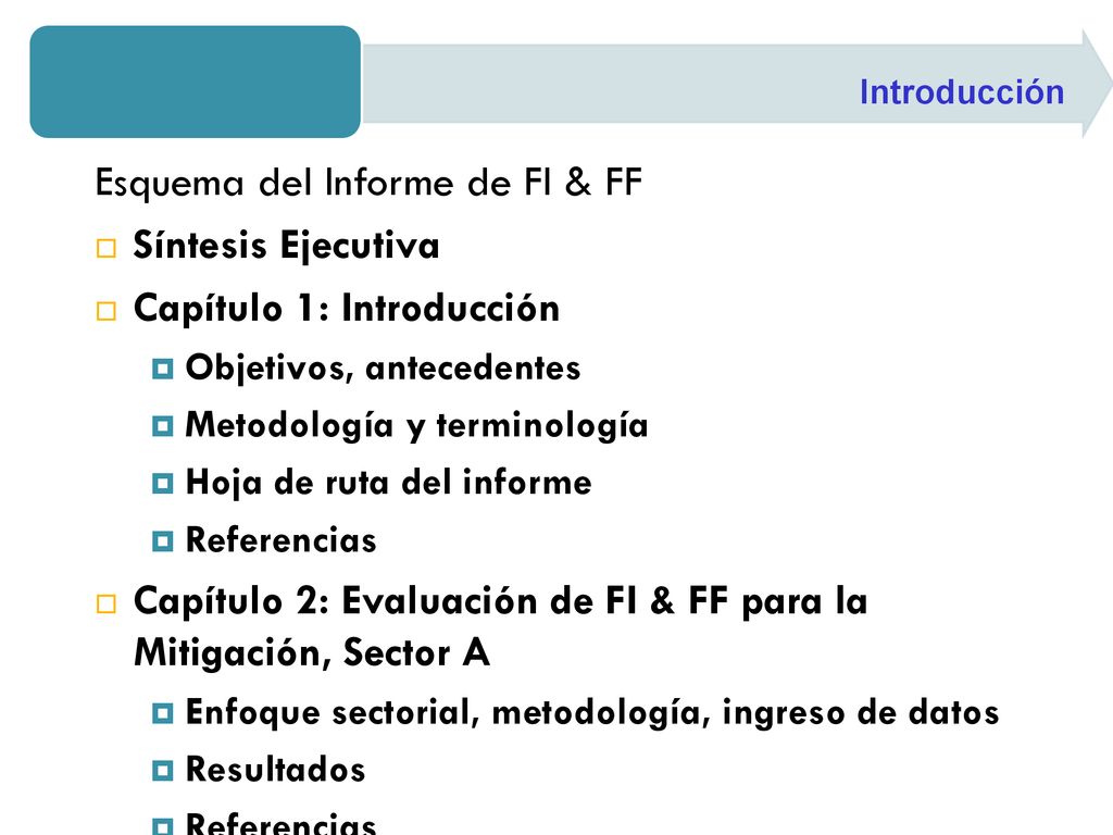 Esquema del Informe de FI & FF Síntesis Ejecutiva