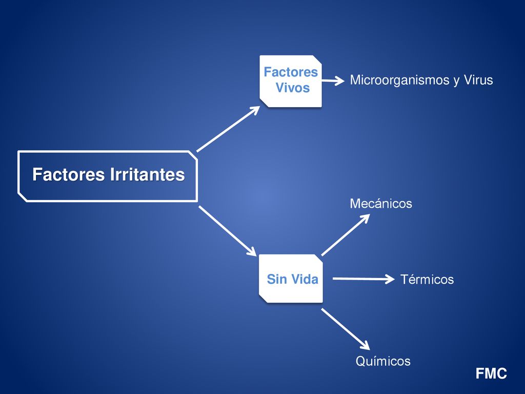 Factores Irritantes FMC Factores Vivos Microorganismos y Virus