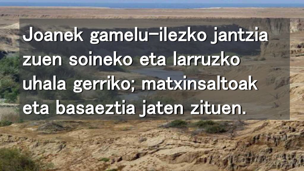 Joanek gamelu-ilezko jantzia zuen soineko eta larruzko uhala gerriko; matxinsaltoak eta basaeztia jaten zituen.