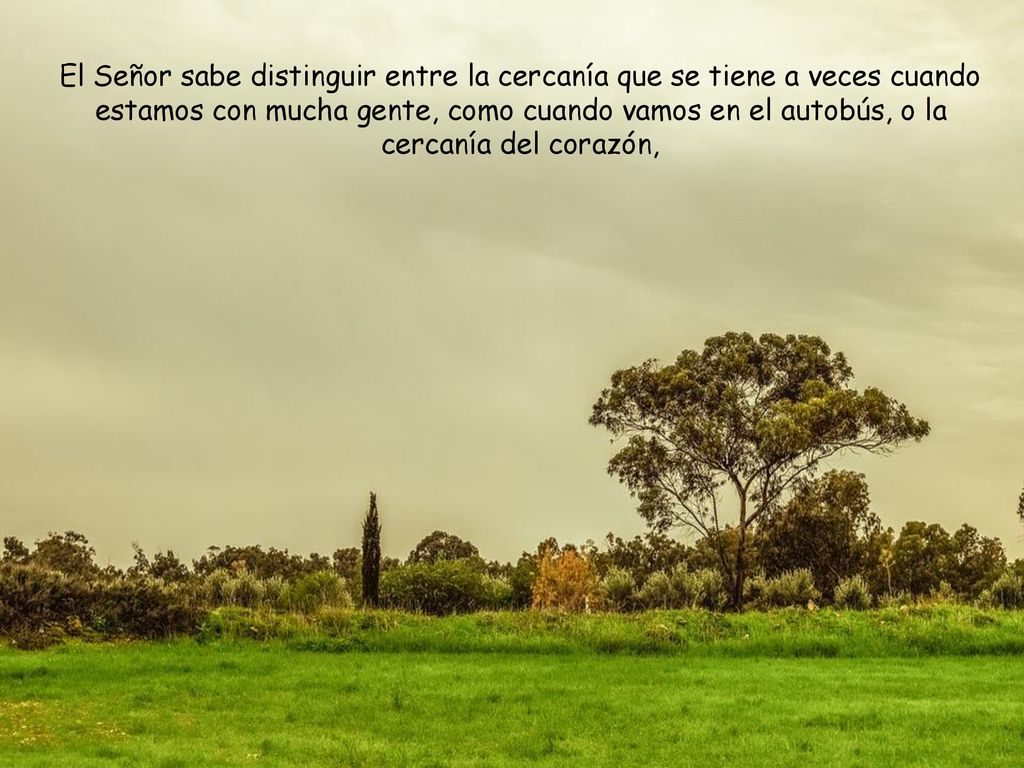El Señor sabe distinguir entre la cercanía que se tiene a veces cuando estamos con mucha gente, como cuando vamos en el autobús, o la cercanía del corazón,