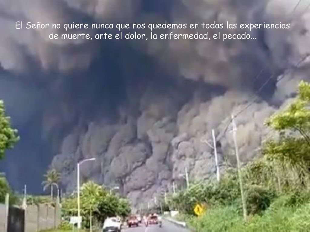 El Señor no quiere nunca que nos quedemos en todas las experiencias de muerte, ante el dolor, la enfermedad, el pecado…