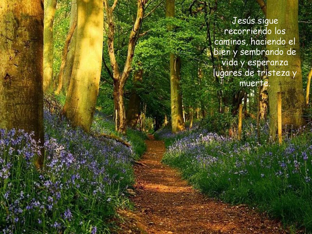 Jesús sigue recorriendo los caminos, haciendo el bien y sembrando de vida y esperanza lugares de tristeza y muerte.