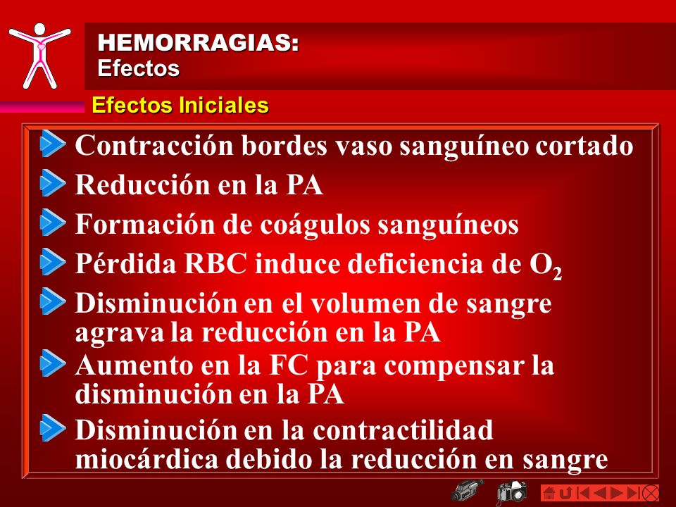 Contracción bordes vaso sanguíneo cortado Reducción en la PA