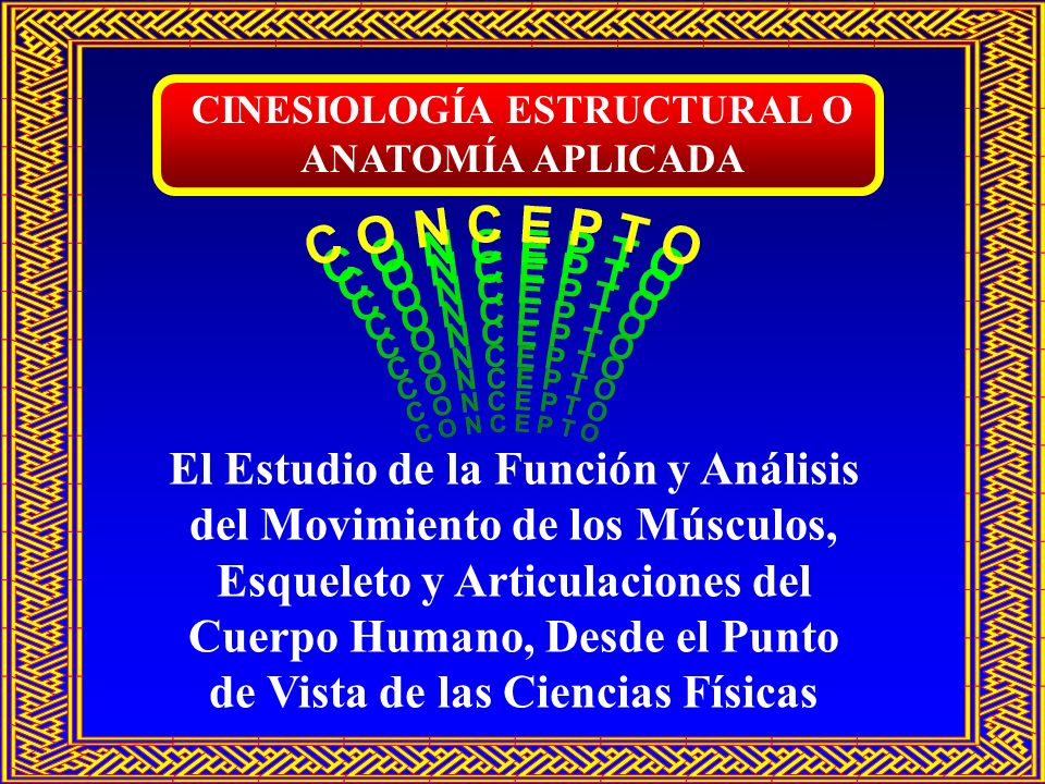 El Estudio de la Función y Análisis del Movimiento de los Músculos,