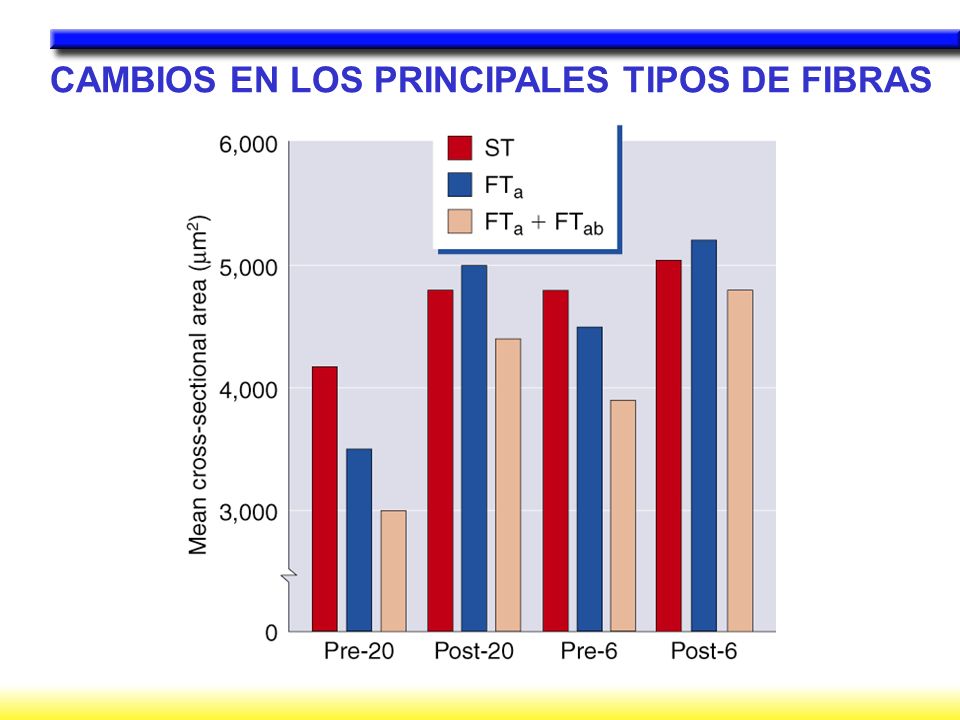 CAMBIOS EN LOS PRINCIPALES TIPOS DE FIBRAS