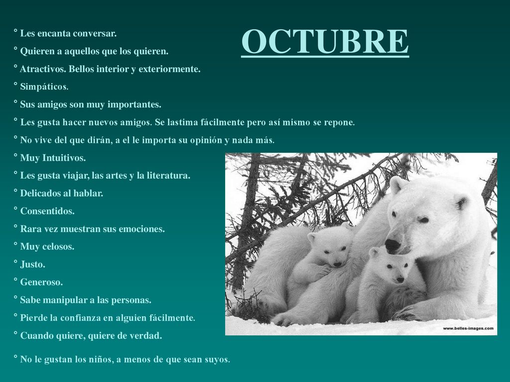 OCTUBRE ° Les encanta conversar. ° Quieren a aquellos que los quieren.