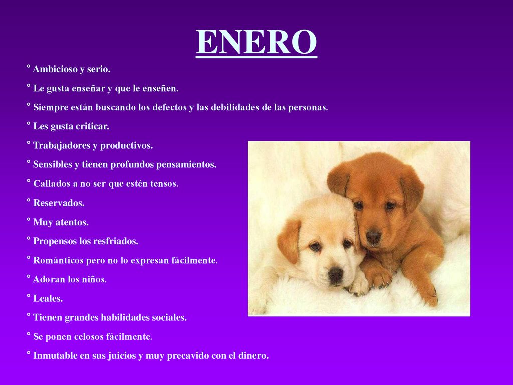 ENERO ° Ambicioso y serio. ° Le gusta enseñar y que le enseñen.