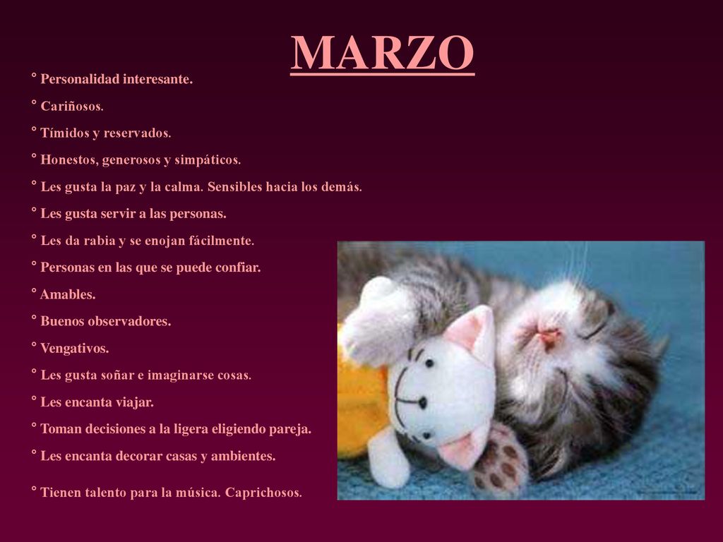 MARZO ° Personalidad interesante. ° Cariñosos. ° Tímidos y reservados.