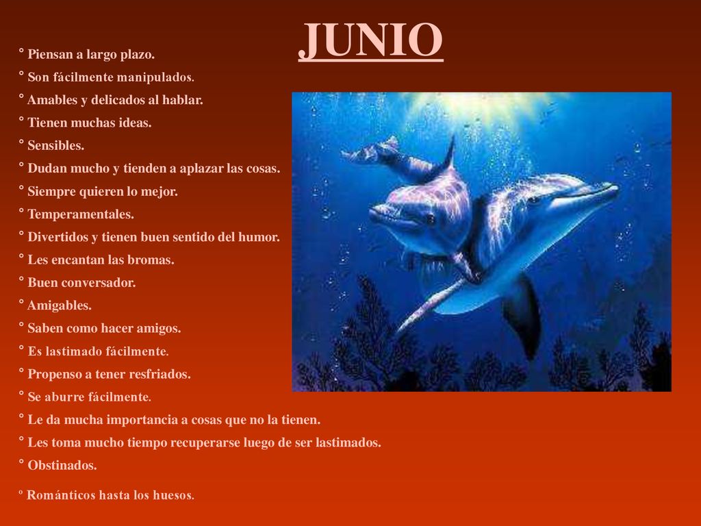 JUNIO ° Piensan a largo plazo. ° Son fácilmente manipulados.