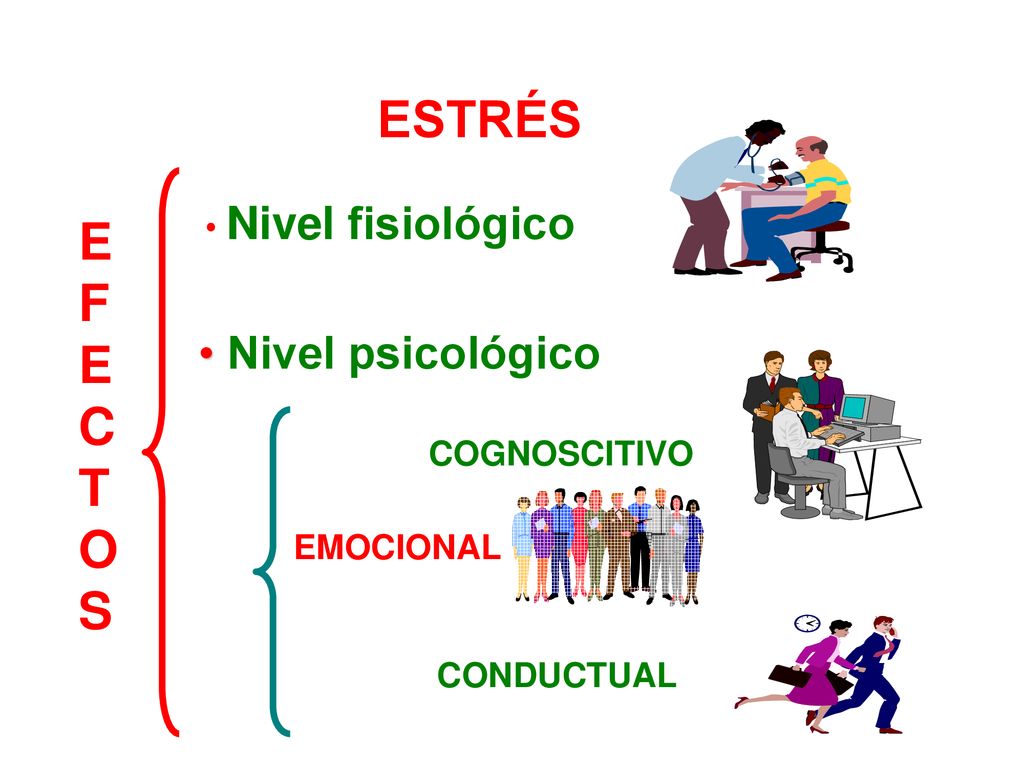 ESTRÉS E F C T O S Nivel psicológico Nivel fisiológico COGNOSCITIVO