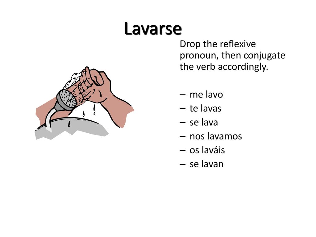 Lavarse Drop the reflexive pronoun, then conjugate the verb accordingly. me lavo. te lavas. se lava.