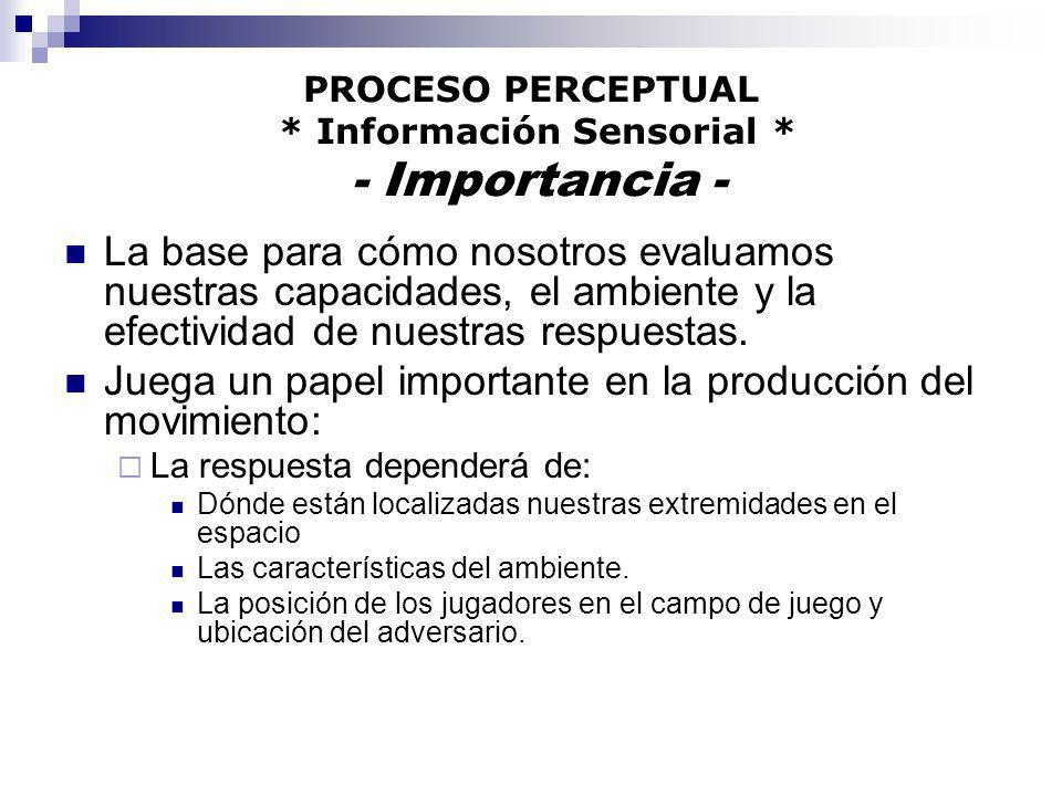 PROCESO PERCEPTUAL * Información Sensorial * - Importancia -