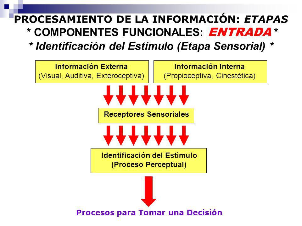 Receptores Sensoriales Identificación del Estímulo
