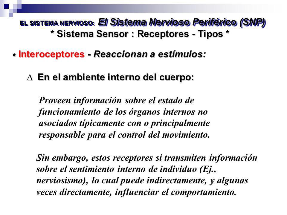 * Sistema Sensor : Receptores - Tipos *
