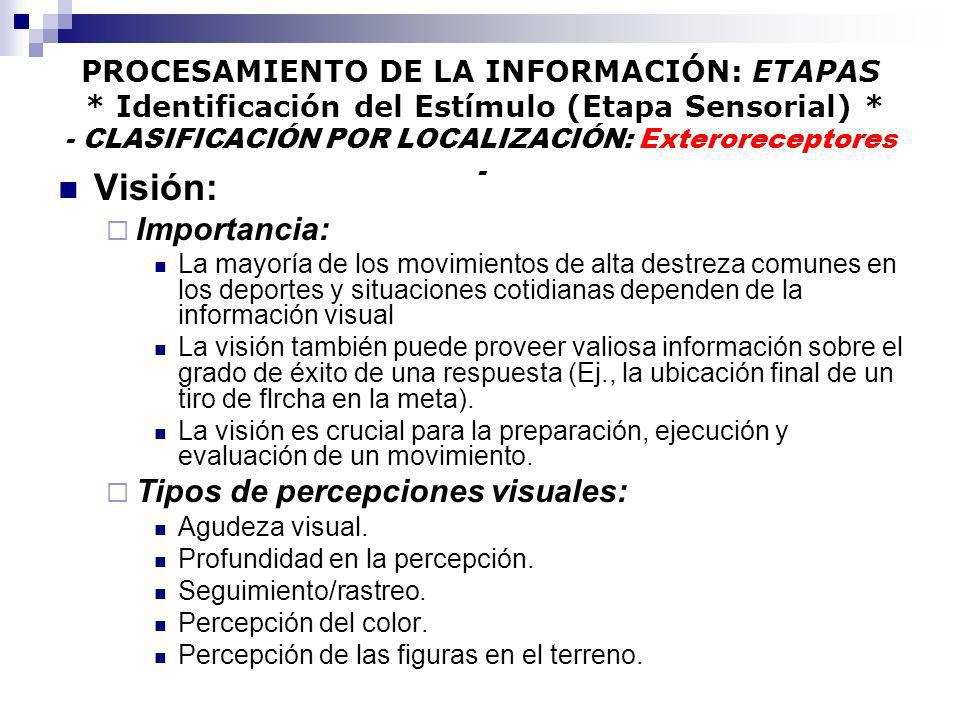 Visión: Importancia: Tipos de percepciones visuales: