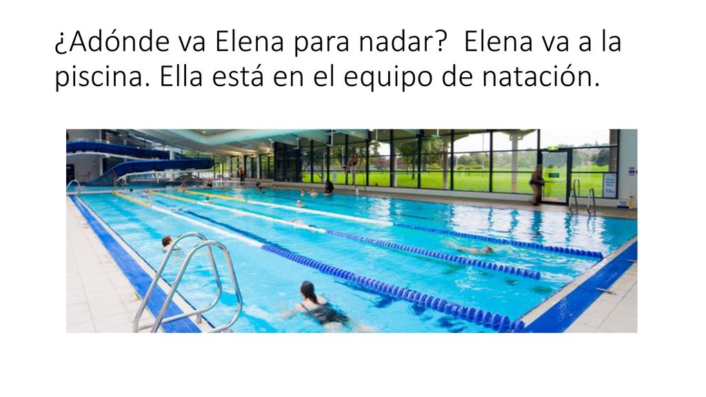 ¿Adónde va Elena para nadar. Elena va a la piscina