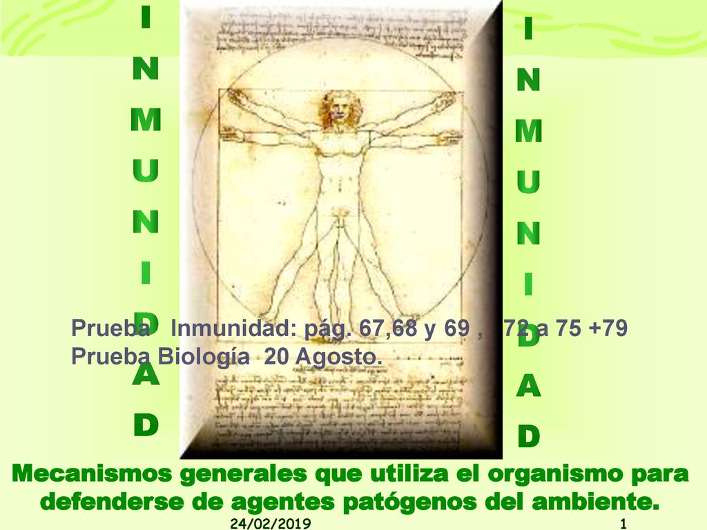 INMUNIDAD INMUNIDAD. Prueba Inmunidad: pág. 67,68 y 69 , 72 a Prueba Biología 20 Agosto.