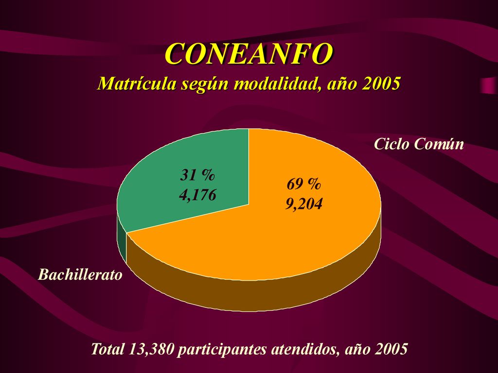 CONEANFO Matrícula según modalidad, año 2005 Ciclo Común 31 % 4,176