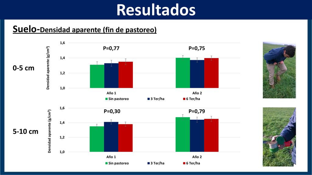 Resultados Suelo-Densidad aparente (fin de pastoreo) 0-5 cm 5-10 cm