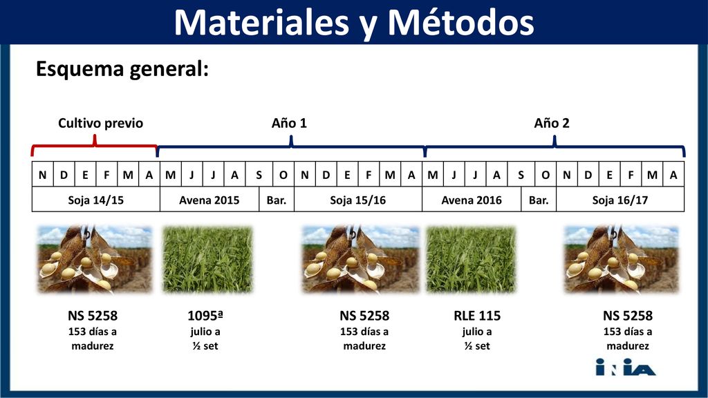 Materiales y Métodos Esquema general: Cultivo previo Año 1 Año 2