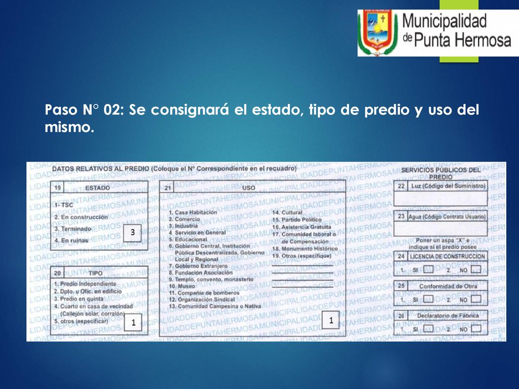 Paso N° 02: Se consignará el estado, tipo de predio y uso del mismo.