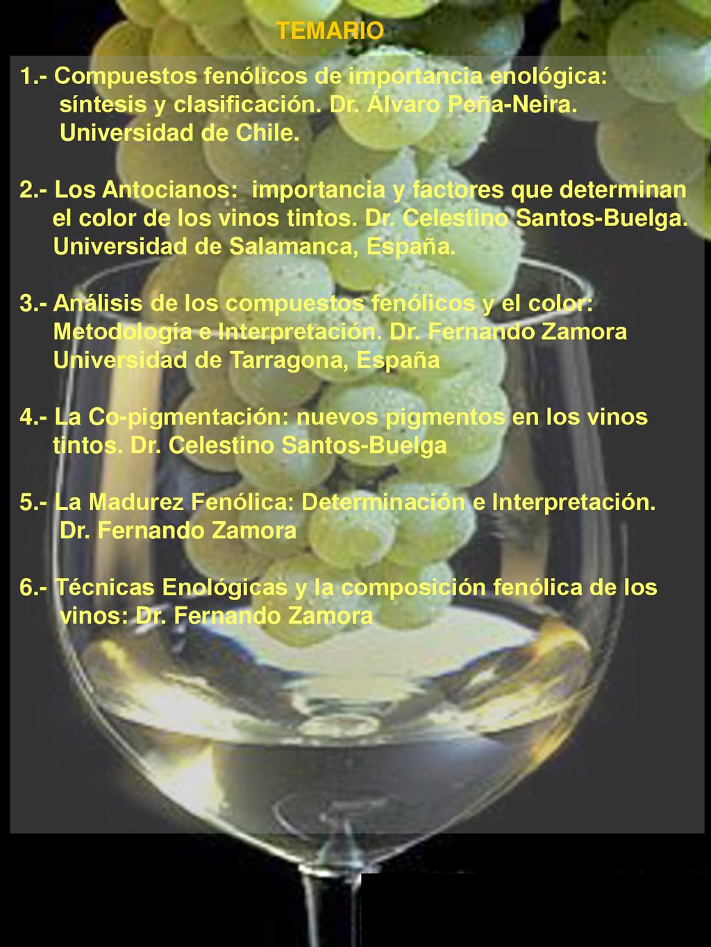 TEMARIO 1.- Compuestos fenólicos de importancia enológica: síntesis y clasificación. Dr. Álvaro Peña-Neira.