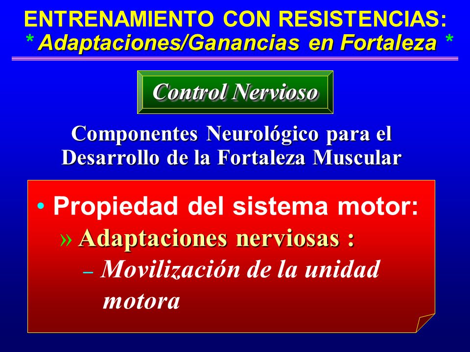 Componentes Neurológico para el Desarrollo de la Fortaleza Muscular
