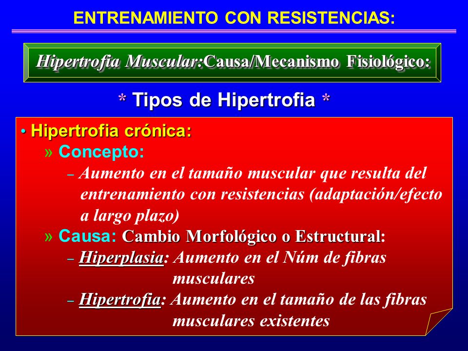 ENTRENAMIENTO CON RESISTENCIAS: * Tipos de Hipertrofia *