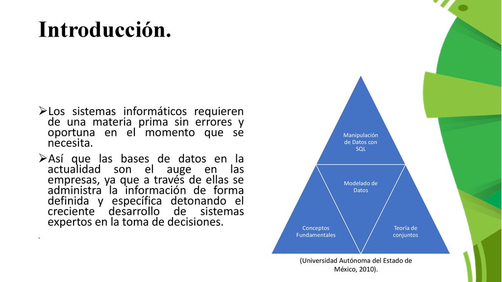 Introducción. Los sistemas informáticos requieren de una materia prima sin errores y oportuna en el momento que se necesita.