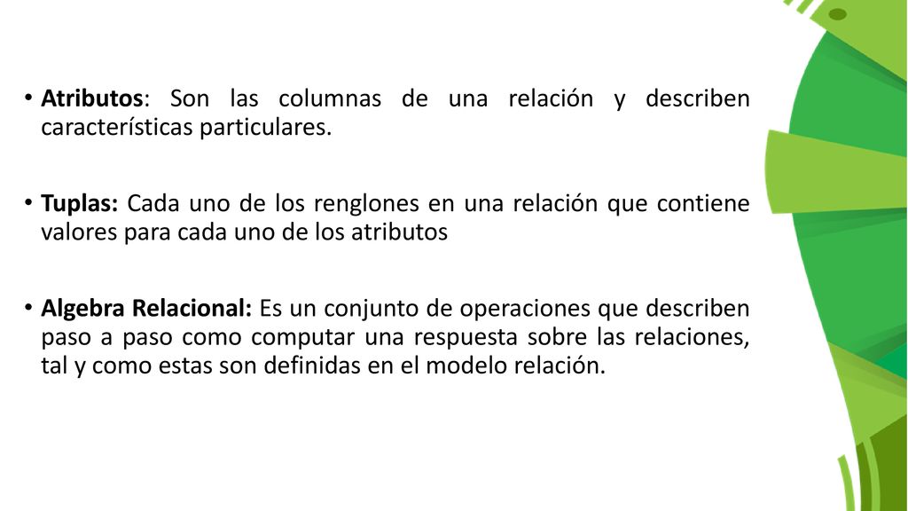 Atributos: Son las columnas de una relación y describen características particulares.