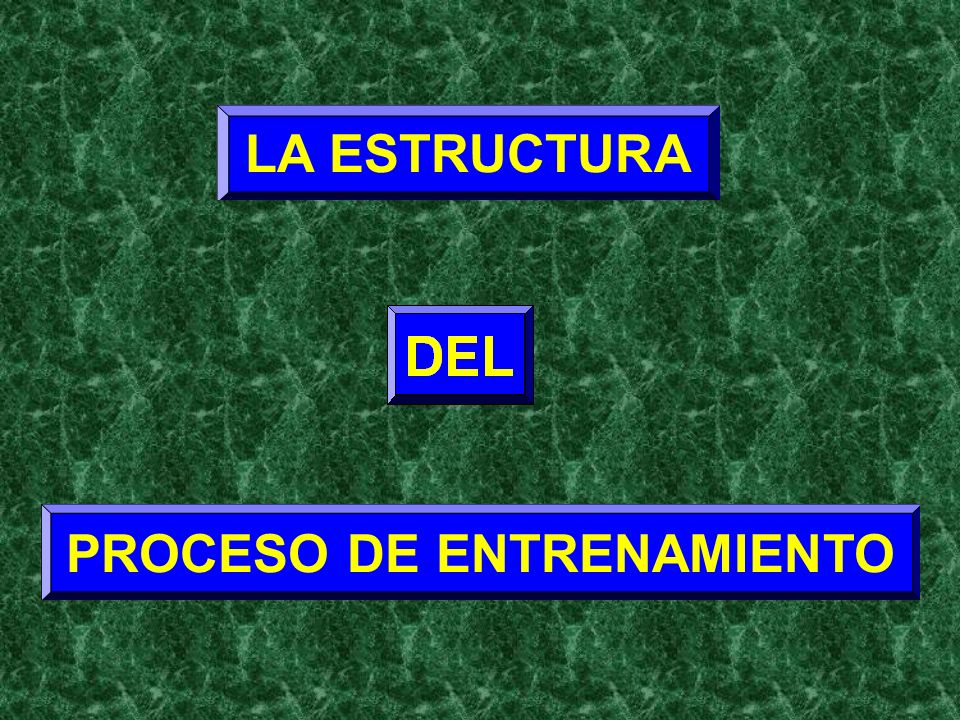 PROCESO DE ENTRENAMIENTO