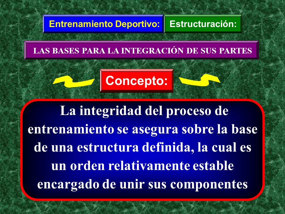 Entrenamiento Deportivo: LAS BASES PARA LA INTEGRACIÓN DE SUS PARTES