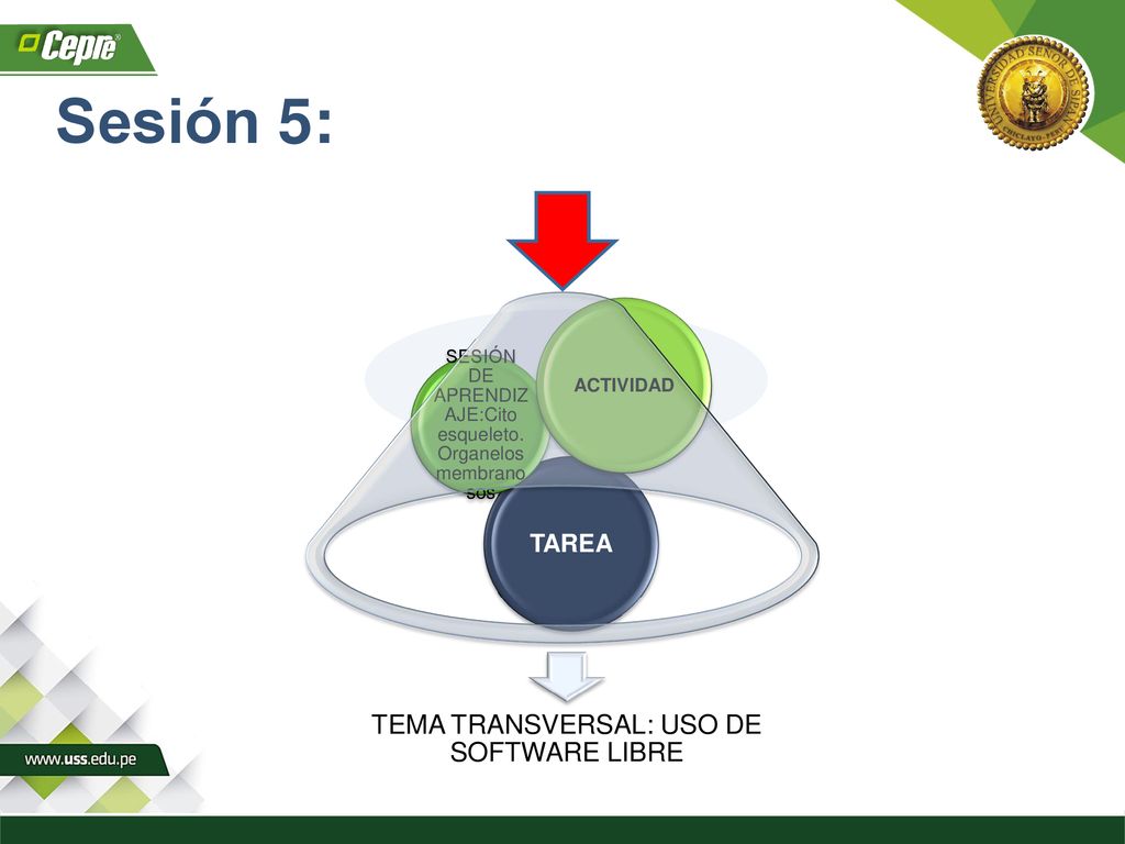 Sesión 5: TEMA TRANSVERSAL: USO DE SOFTWARE LIBRE TAREA ACTIVIDAD