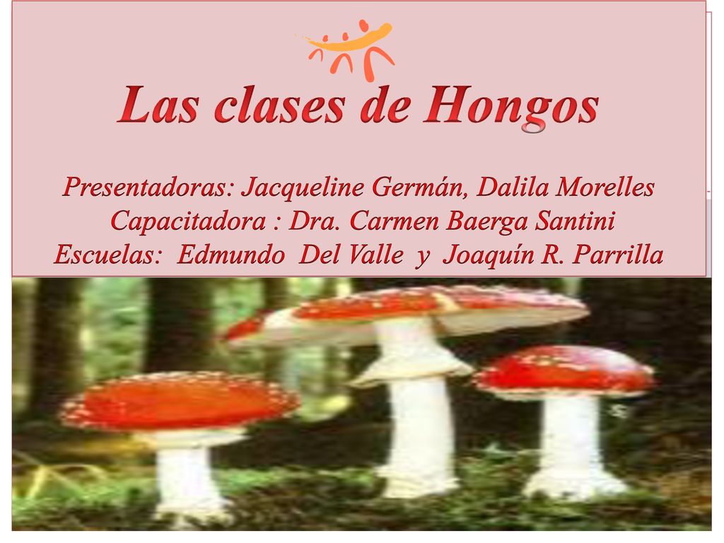 Las clases de Hongos Presentadoras: Jacqueline Germán, Dalila Morelles