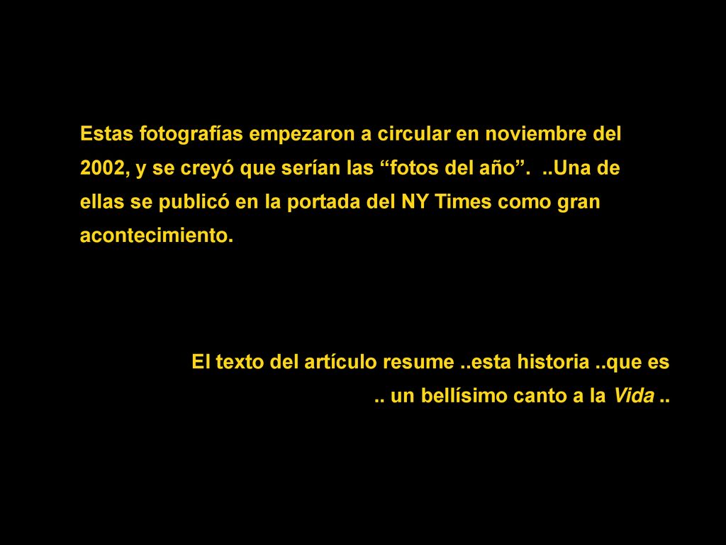 Estas fotografías empezaron a circular en noviembre del 2002, y se creyó que serían las fotos del año . ..Una de ellas se publicó en la portada del NY Times como gran acontecimiento.