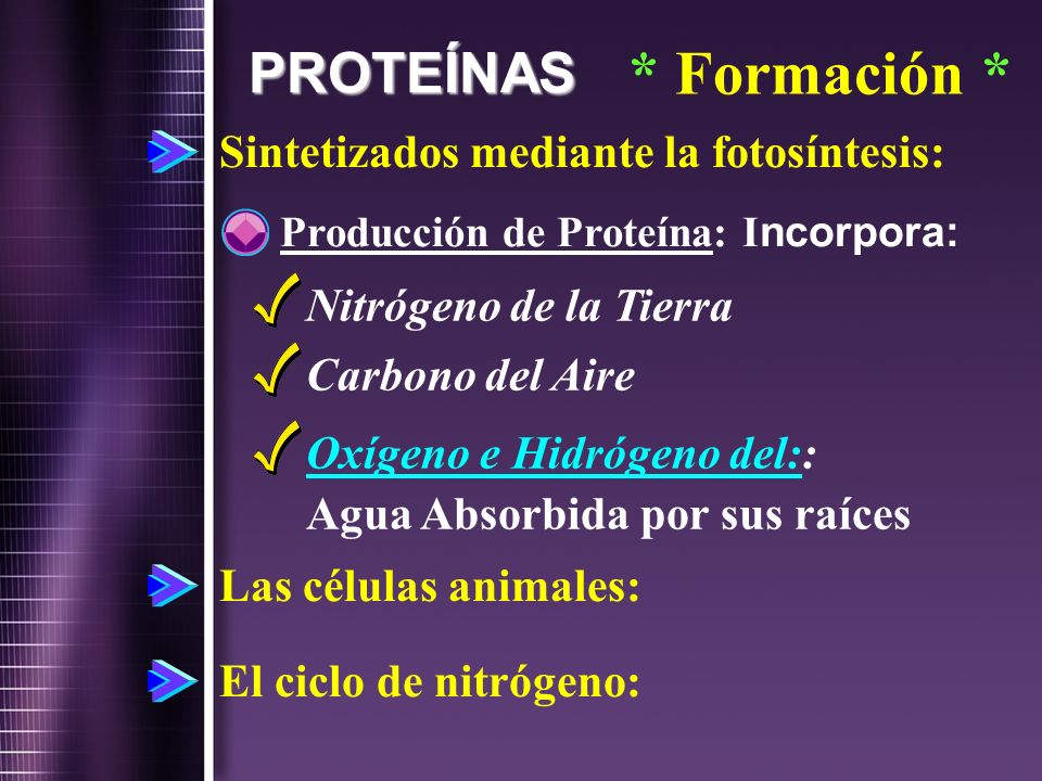 Oxígeno e Hidrógeno del:: Agua Absorbida por sus raíces