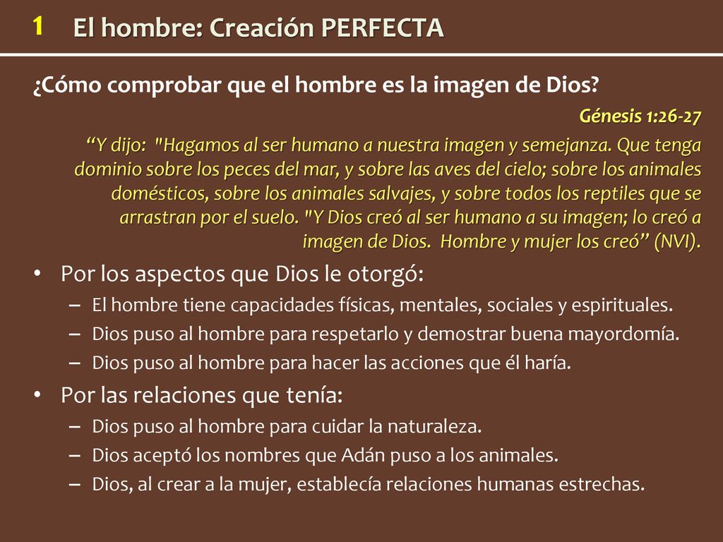 ¿Cómo comprobar que el hombre es la imagen de Dios